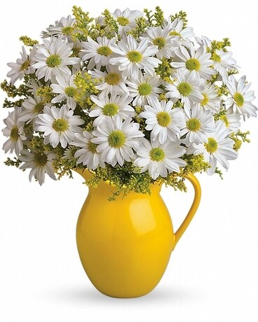 Sunny Day Pitcher of Daisies Flower Arrangement