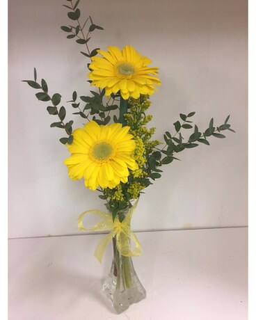 Yellow Gerber Duo Flower Arrangement