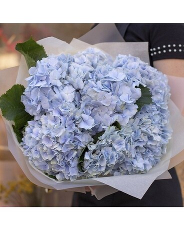 Blue Hydrangea Wrapped Bouquet Flower Arrangement