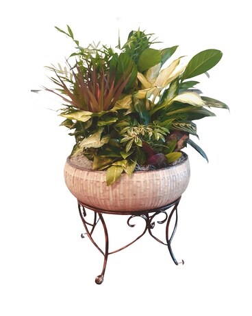 Elegant Footed Planter Plant