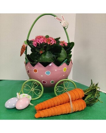Blooming Bunny Buggy Plant