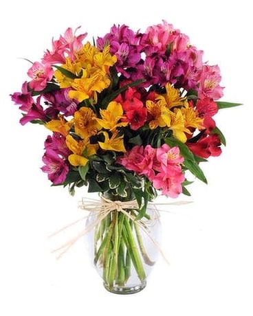 Mystic Alstromeria Flower Arrangement
