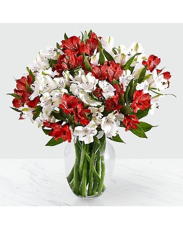 Holiday Alstromeria Flower Arrangement