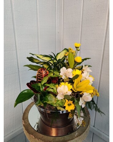 Silk Planter Tribute Plant