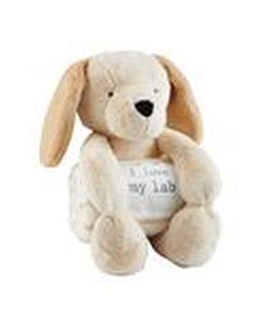 Yellow Lab Blanket Pal Gifts