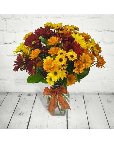 Bountiful Autumn Daisies Flower Arrangement