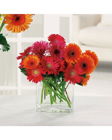 Happy Gerbers Flower Arrangement