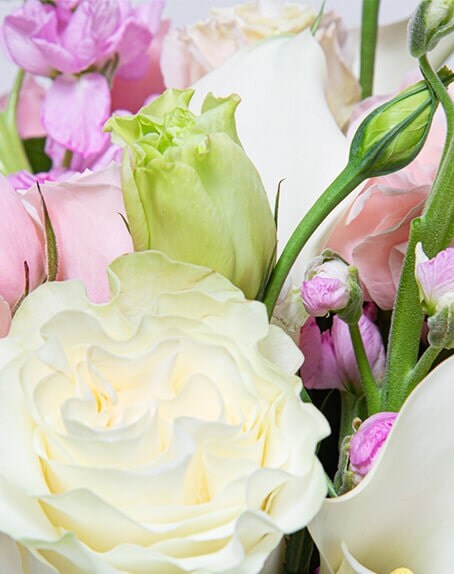 Spring Flowers!