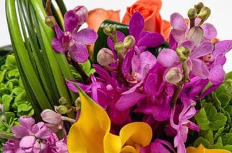 NYC Flowers Delivery-Seasonal