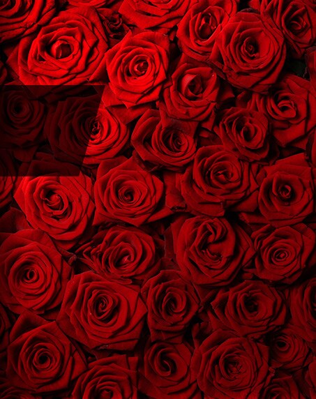 Valentine's Day flowers delivery NYC