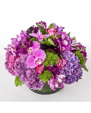 NYC Orchid Passion Flower Arrangement