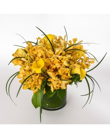 Tropical Lemon Coupe Flower Arrangement