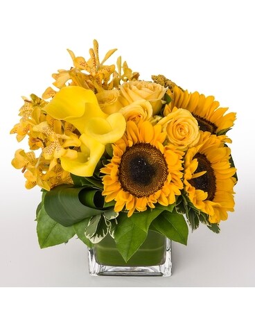 Bathing in Sunshine Flower Arrangement