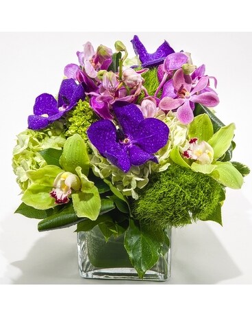 Brilliant Blooms Flower Arrangement