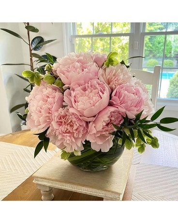 Peony Infatuation Flowers