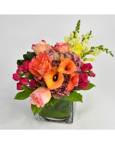 Rose Sorbet Flowers