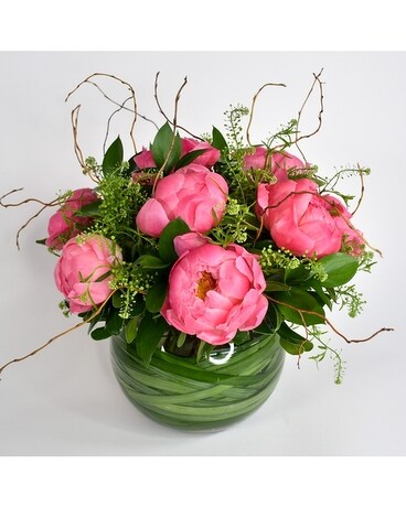 Peony Allure Flowers