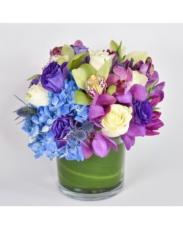 Aquamarine Flowers