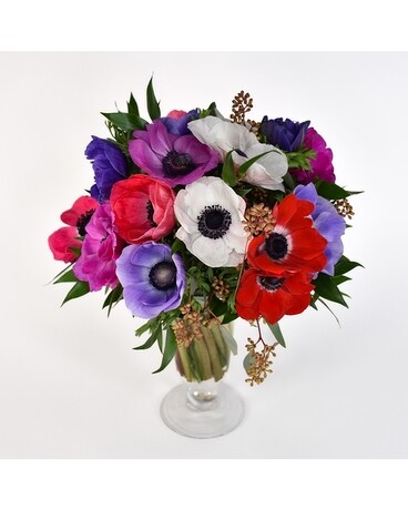 Spring Anemones
