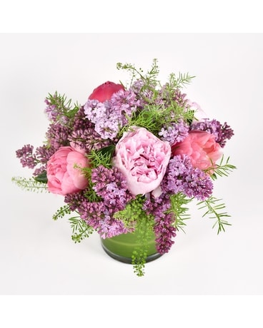 Lovely Lilac Flowers