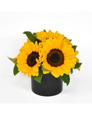 Bouquet of Sunflowers in a black vase for flower delivery in NYC from your local NYC florist.