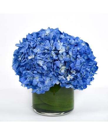 Blue Lagoon Flower Arrangement