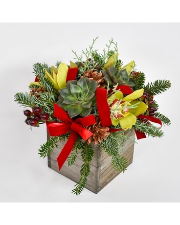 Succulent Eve Flower Arrangement