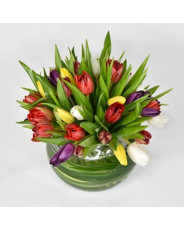 Tulip Flower Arrangements - Starbright Floral Design NYC
