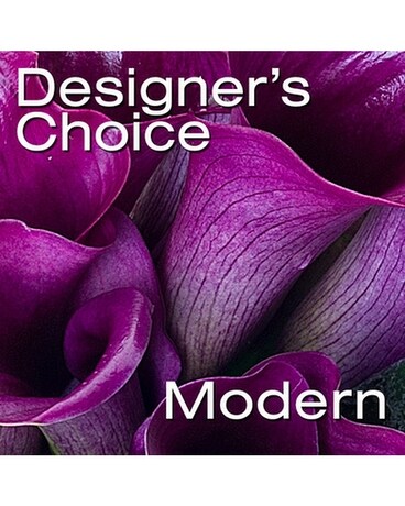 Concierge Choice-Modern