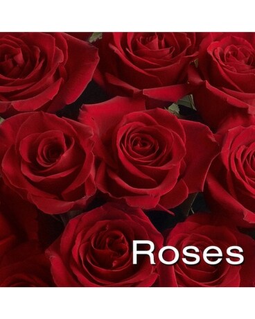 Concierge Roses