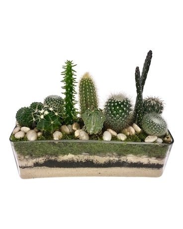 Desert Harmony Nyc Flower Delivery Delivered Same Day Innew York Desert Harmony Flower Arrangement