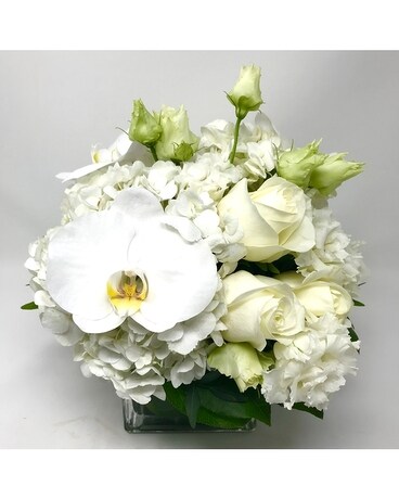 Beauty is Pure Flower Arrangement