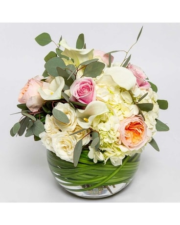 World Of Wonder Flowers