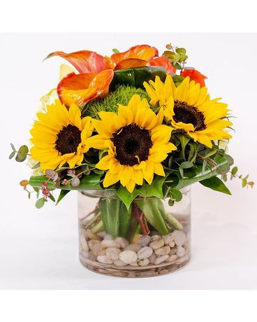 Summer's Promise Flowers