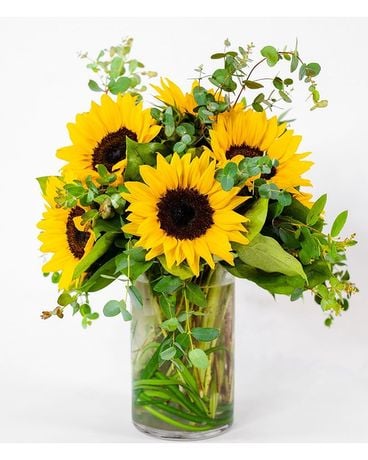 Wild and Free Flowers