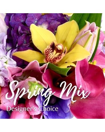 Designer's Choice-Spring Flowers
