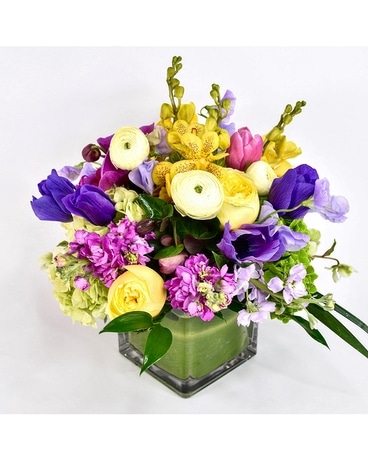 Springtime on My Mind Flowers
