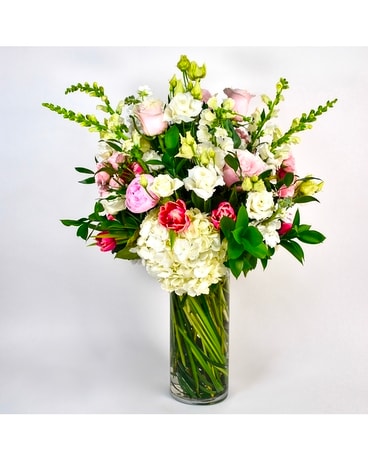 Cupid's Arrow Flowers