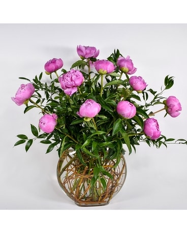 Chelsea Peonies- Available in White Flowers