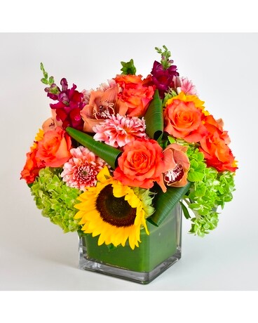 Victorious arrangement contains Sundflowers and Dahlia dlowers in a vase.  Available to be delivered in NYC.