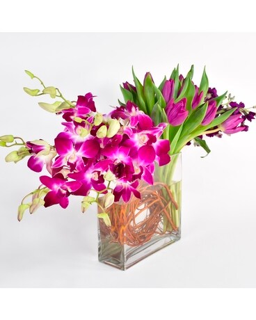 Daydreamer Flowers