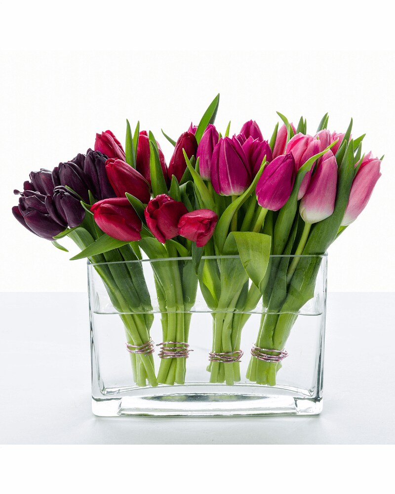 Tulips' Kiss Flower Arrangement