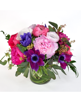 Sweet Song Spring Flowers