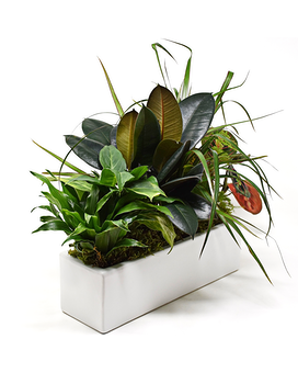 Standard size, 14 inches height and 16 inches wide.
