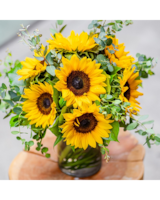 スタジャン MOMENT SUNFLOWER スタジャン MOMENT SUNFLOWER