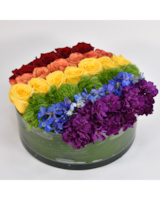 Shop Rainbow of Roses Flower Bouquet - Starbright NYC