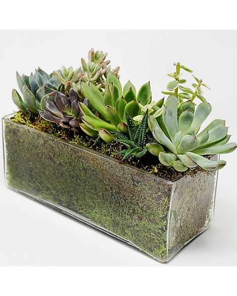 10 plant pots Michelle Planter main image 0