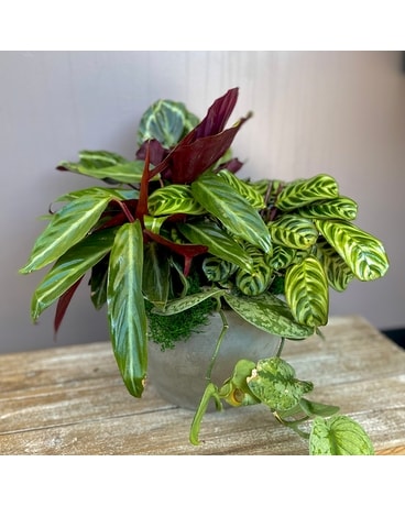 Stone Plant Garden Flower Arrangement
