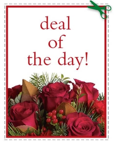 Christmas Deal of The Day Flower Arrangement