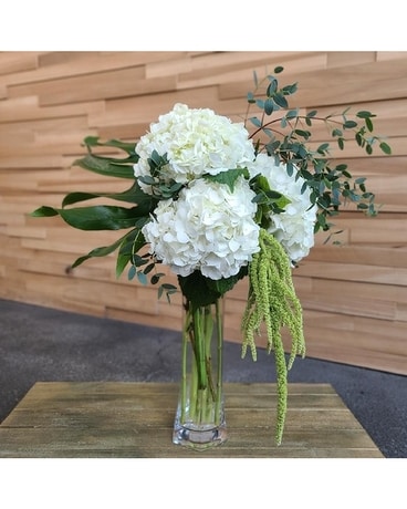 Simply Hydrangeas Flower Arrangement